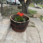 Alboroto * Huesca