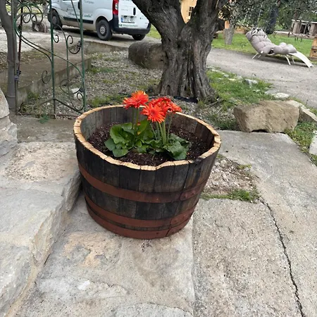 Alboroto * Huesca